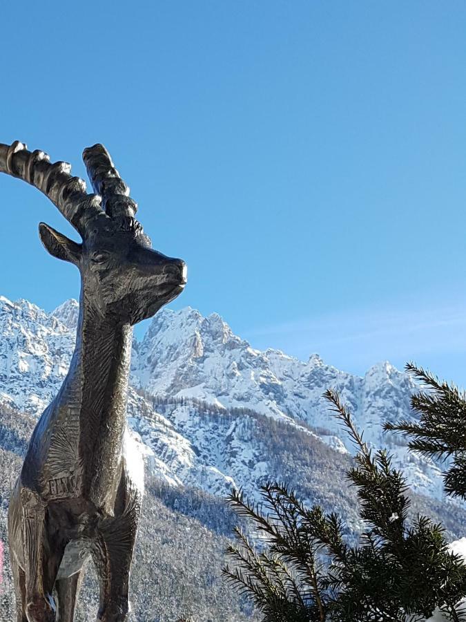 Nigritella Leilighet Kranjska Gora Eksteriør bilde