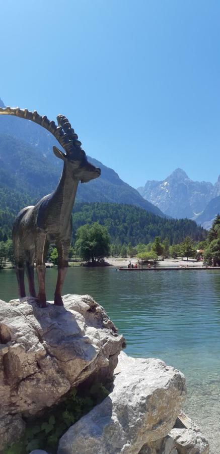 Nigritella Leilighet Kranjska Gora Eksteriør bilde