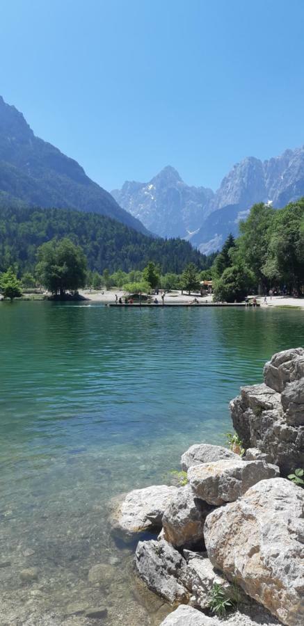 Nigritella Leilighet Kranjska Gora Eksteriør bilde
