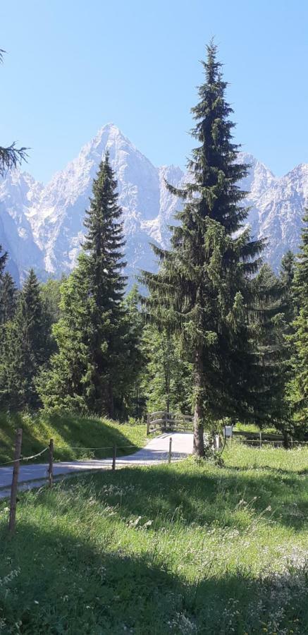 Nigritella Leilighet Kranjska Gora Eksteriør bilde